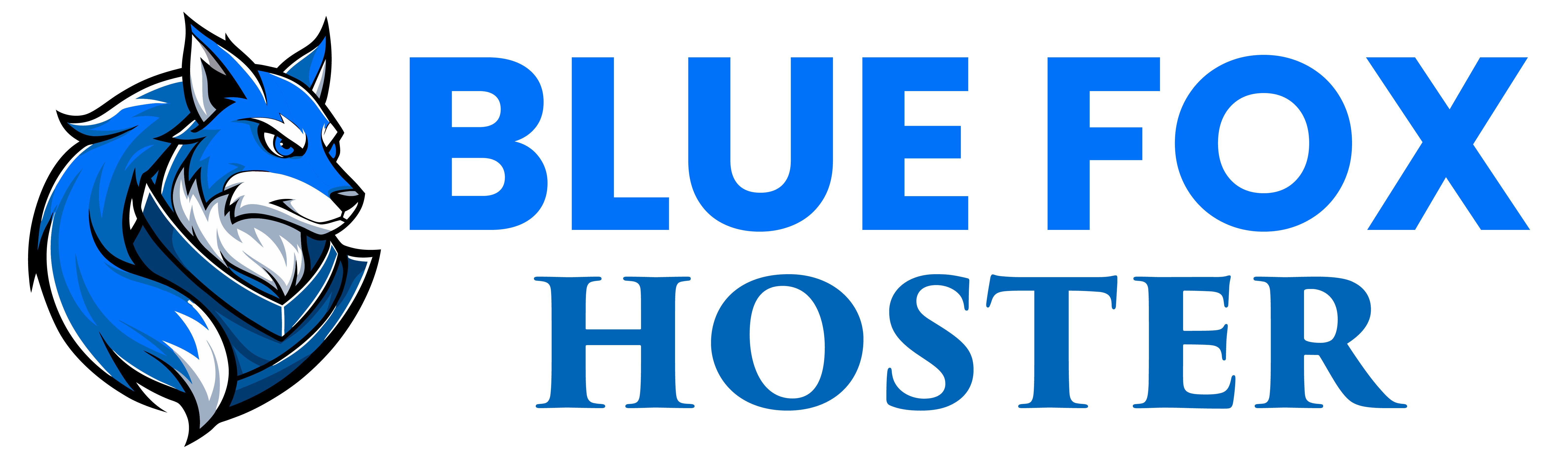 BlueFox Hoster Logo